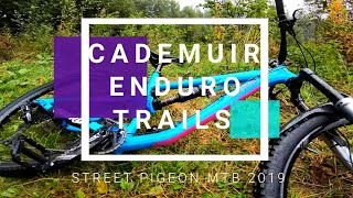 Cademuir Enduro Trails