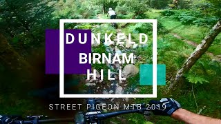 Dunkeld MTB trails | Birnam Hill