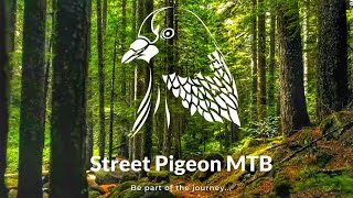Street Pigeon MTB | Welcome to The Channel
