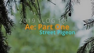2019 MTB Enduro Vlog 12 (4K) | Ae Forest | Part 1