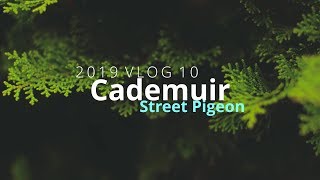 2019 MTB Enduro Vlog 10 - Cademuir