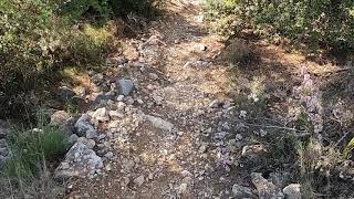 Lija