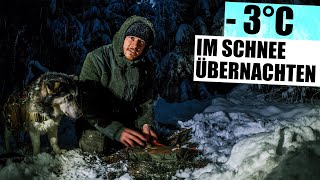 Bei -3°C Grad & Schnee mit Hund im Wald...