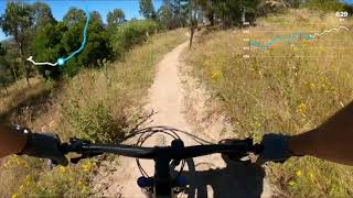 Stromlo Forrest - Evolution (Green)