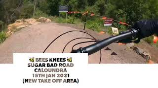 Bees Knees (Sugar Bag Road)