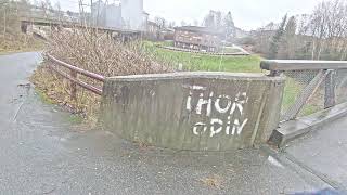 07 12 2020 Thor Odin ?