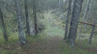 01.12.2020 long trail
