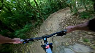 Starfish @ Makara Peak Mountain Bike Park