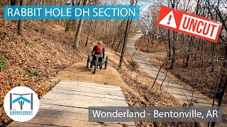 Rabbit Hole DH UNCUT - Adaptive MTB -...