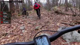 Wawayanda 1-17-21 Sitting Bear Trail (southbound)