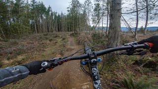 Ibis Ripley AF- first ride on Galbraith
