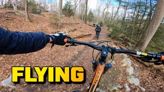 Sterling Forest Jan 2021 Highlights