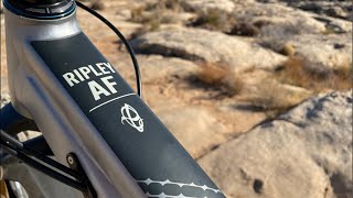 Ripley AF Live Q&A and general discussion!!