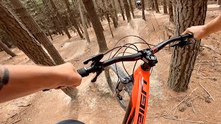 RIDING SICK MTB FLOW TRAILS!!! - STICKY FOREST...