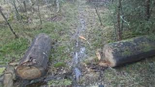 01.12.2020 dead ends, stream crossing, deer,...