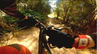 The Local (new and old sections)