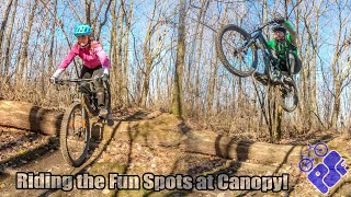 'Normal' MTB Trail Riding - Canopy Tours...