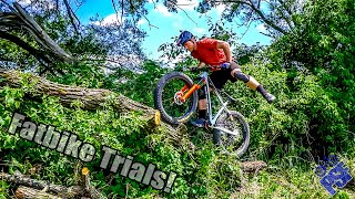 A Fallen Tree Gets the Best of Me - Fatbike...