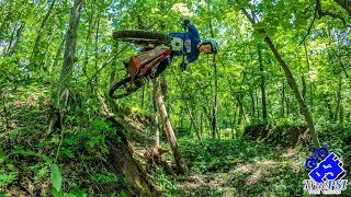 Finding a Line in an Overgrown WI Woods on the...