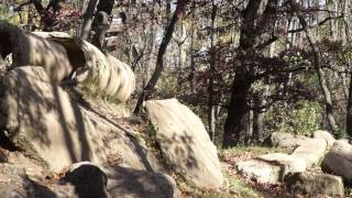 PSF's Proline Racing RC Video Contest Entry