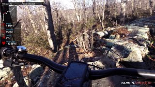Wawayanda 1-23-21 Split Rock Trail