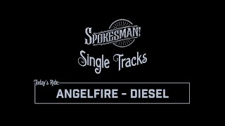 Single Tracks: Angelfire - Diesel