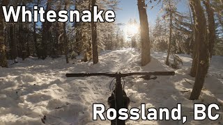 Hero Snow!?!? Is that a thing? // Whitesnake -...