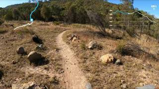 Stromlo Forrest - Skippys (Green)