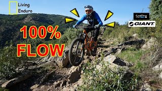 RAW | ☢️ ZOMBILAND POR PATONES ☢️ |...
