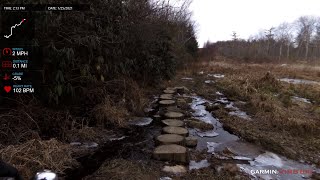 Wawayanda 1-25-21 Split Rock Trail - uphill