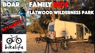 Flatwoods Wilderness Park Trails - Florida...