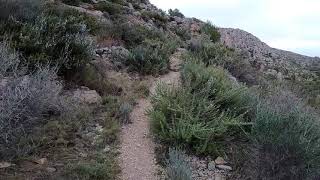Botalaria