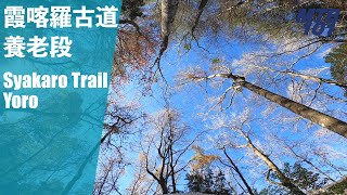 霞喀羅古道 養老至白石吊橋