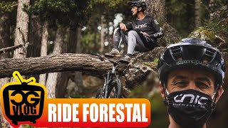 Forestal is REAL - CG VLOG #385