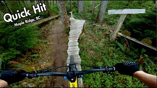 Quick Hit // The Woodlot, BC