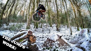 BACKYARD DIRT JUMP BUILD - Finally Riding the...