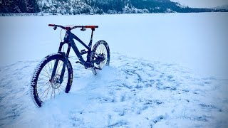 Guerrilla Gravity Gnarvana - Bike check