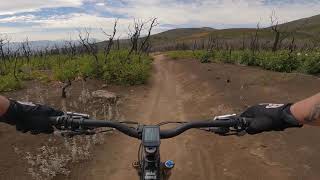 covid-19_MTB lockdown