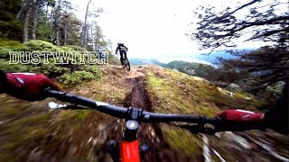 Courtenay BC - Dustwitch