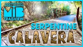 CALAVERA “SERPENTINE”