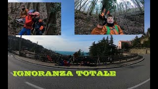 PARTY LAPS A ZIEVOLINE