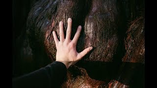 003 Avatar Grove - No Bad Days Vlog