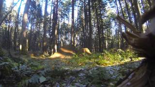 Mountainbike Dumont.