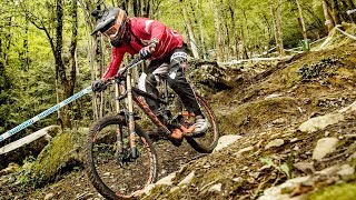 Claudio Caluori and his love for Trees | POV...