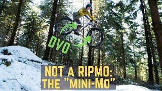 Ripley AF build: making a 'mini Ripmo' with...