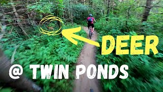 Highlights from Twin Ponds in Cambridge, Ontario