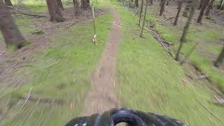Tumleberg MTB