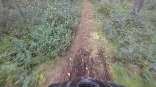 Tumleberg MTB Blå