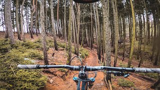 MTB Trails shredding! Rose Bikes Pikes Peak Enduro