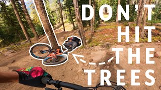 The trail riders dream bike park | Vail, CO